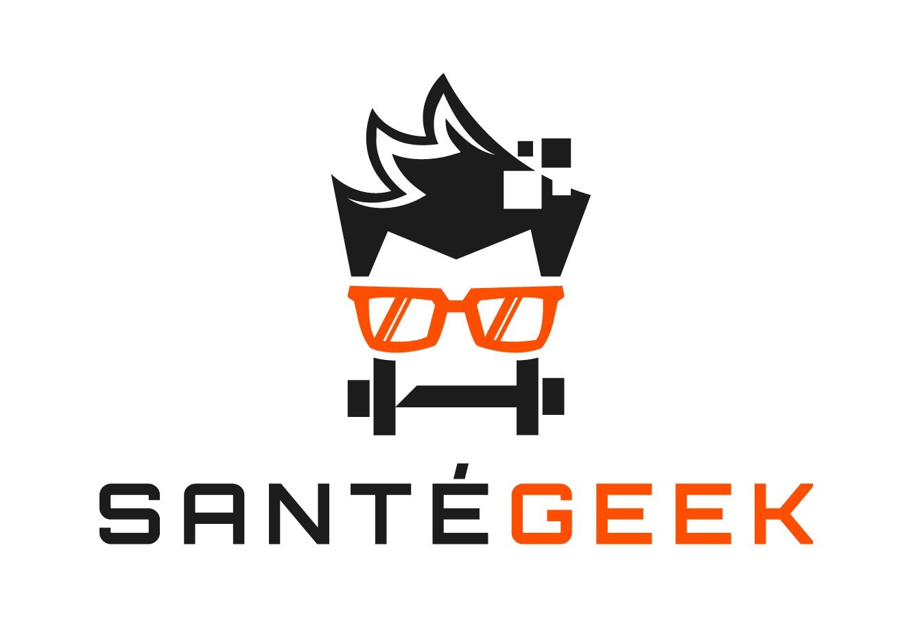 Logo Santé Geek